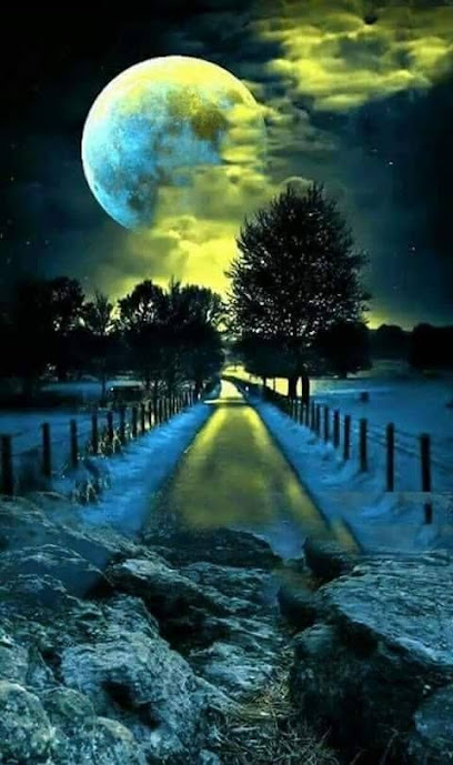 Residencia de ancianos Apartamentos para Personas Mayores Covadonga - Oviedo