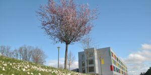 Residencia Logística de la Armada Evaristo Diaz - Lugo